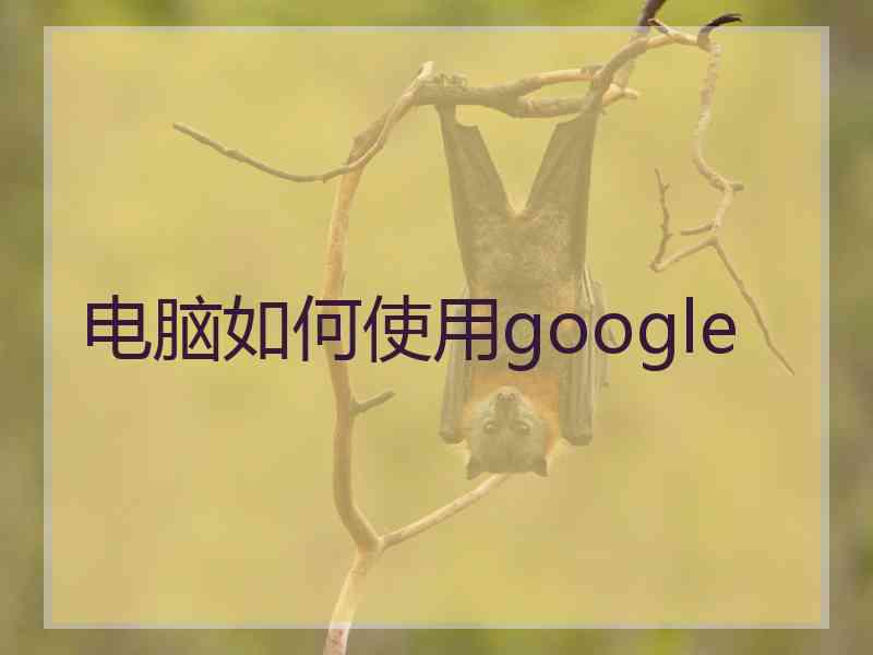 电脑如何使用google