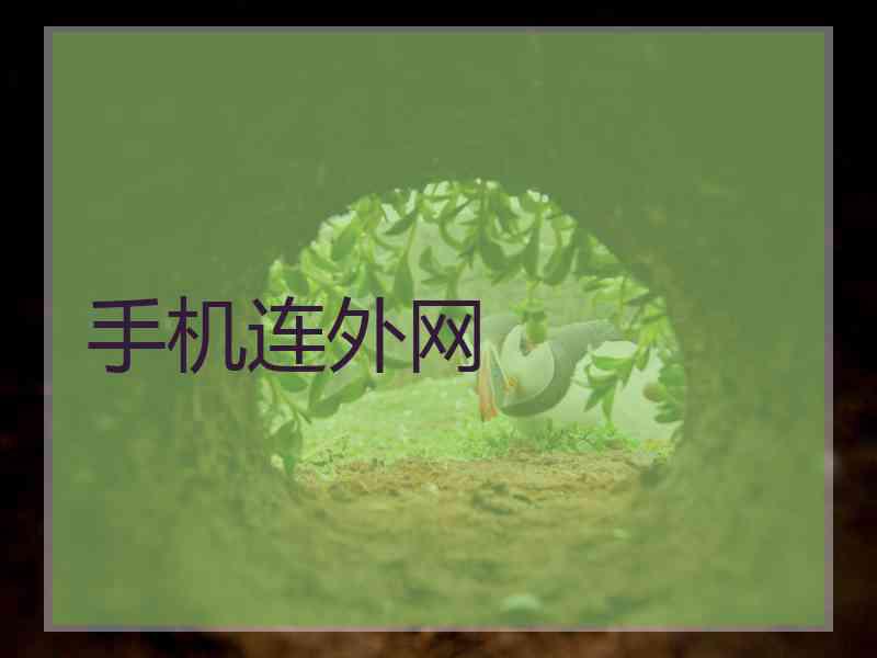 手机连外网