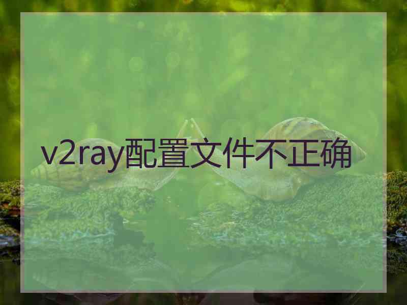 v2ray配置文件不正确